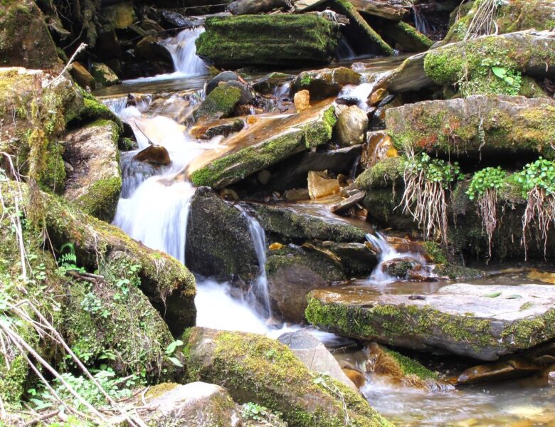 Acqua.